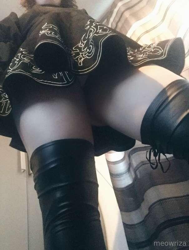 meowriza image #0