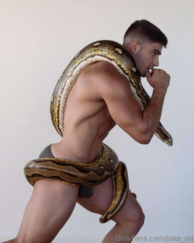 jake_od image #2