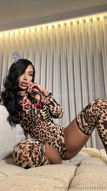 Let me bring out the wild side in you! 😈
