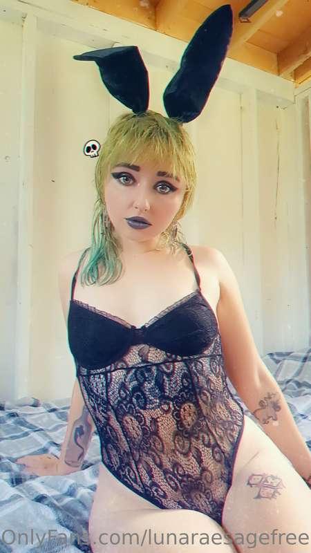 Fuck machine bundle! You get a close up view AND a POV vid s..