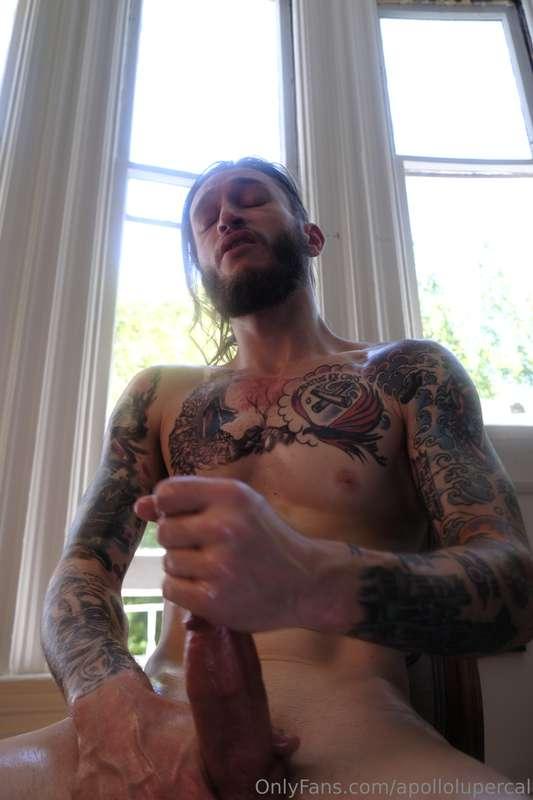 apollolupercal image #4