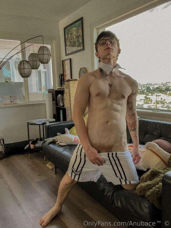 anubace image #5