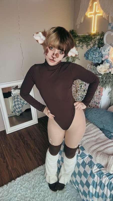 indigowhite image #123