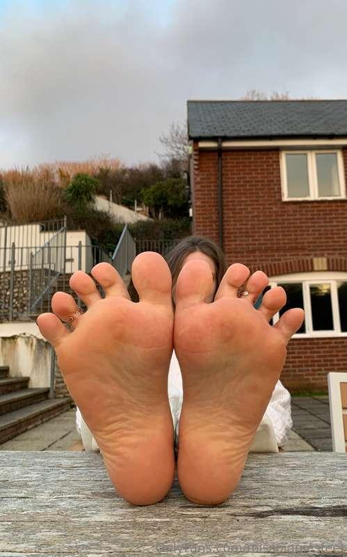 honeybeatoes image #4