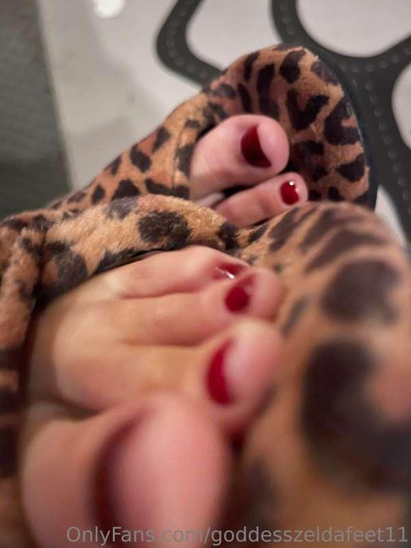 goddesszeldafeet11 image #1