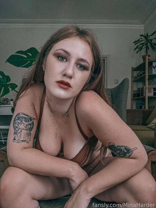 minaharder image #6