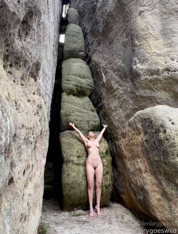 fernfairygoeswild image #0