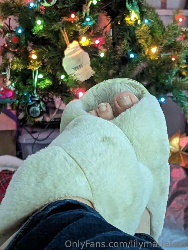 I know, I know I need to take my tree down.