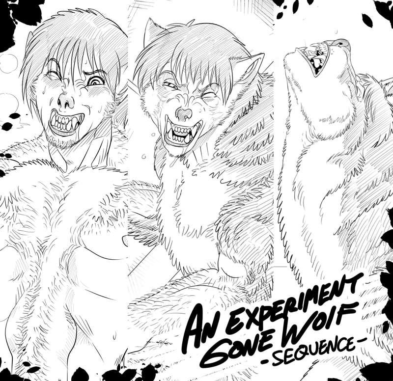 An Experiment Gone Wolf