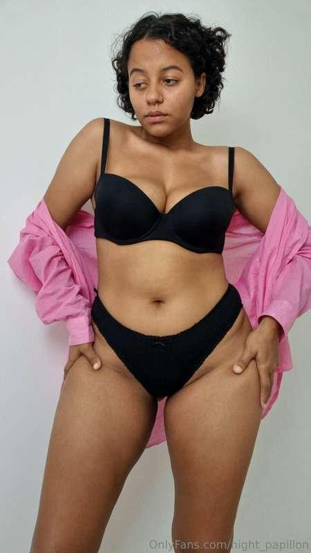 night_papillon image #3