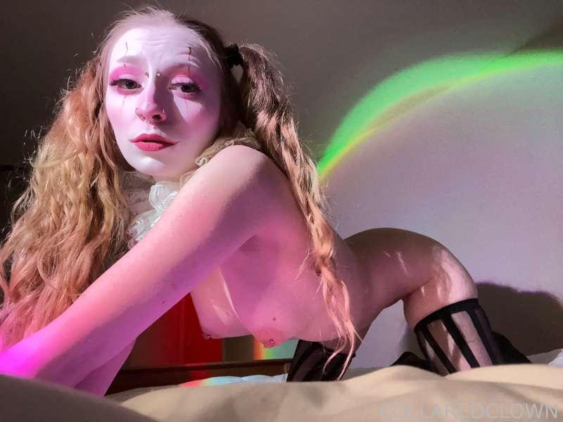 collaredclown image #1