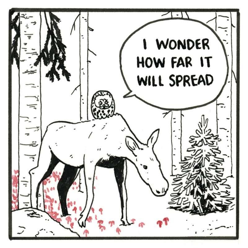 [26/31]