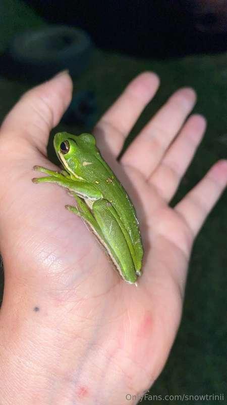 Some critters I’ve come across 💕 aka I saved them from being..