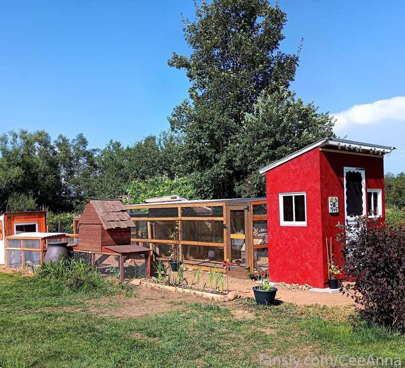 Vanilla alert! Here's what I've been doing for the past few weeks, when I'm not fucking giant and obscene things for you guys. 😅
Four coops, 21 chickens and 9 quail. A huge labour of love for some of my very favourite animals. 💕