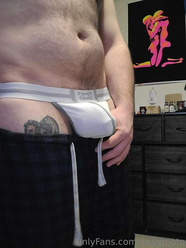 5 days until I'm breeding my puppy. Pent up and ready for hi..