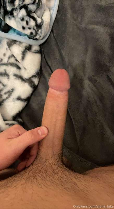 Just a nice pic and a clip of my hard cock, the pubes are co..