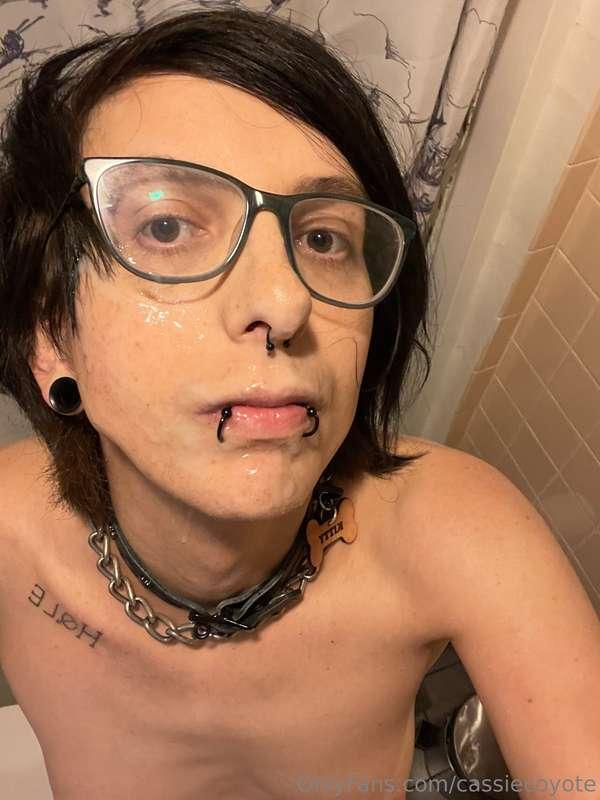 cassiecoyote image #1