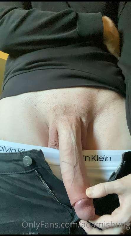 adamishung image #0