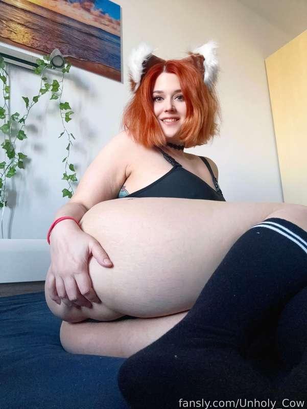 unholy_cow image #2