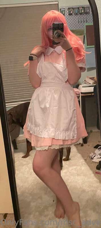 msc_adventures image #1