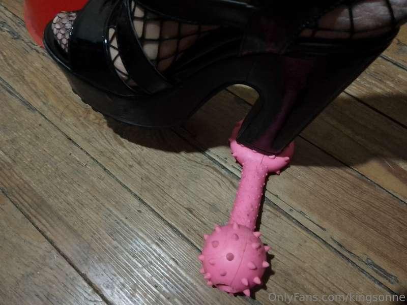 So disgusting puppy