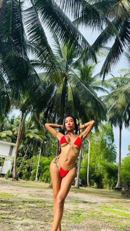 Beautiful view...palms...sunshine...beautiful weather...sea...