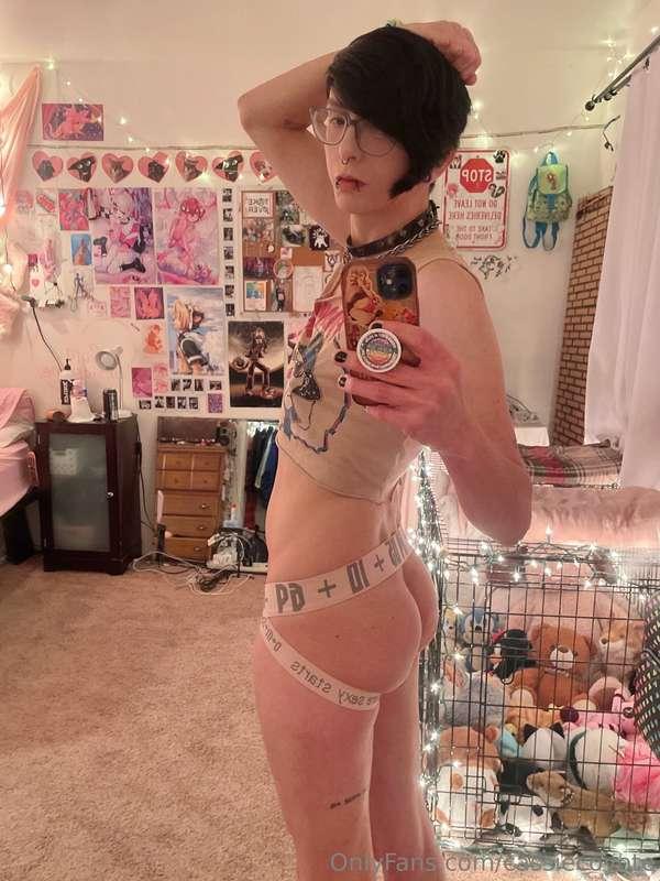 cassiecoyote image #0