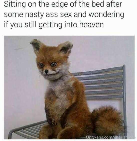 Life