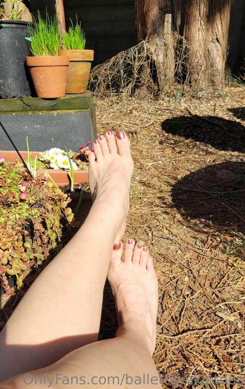 Caught a few sunrays in the garden today 🌞👣
