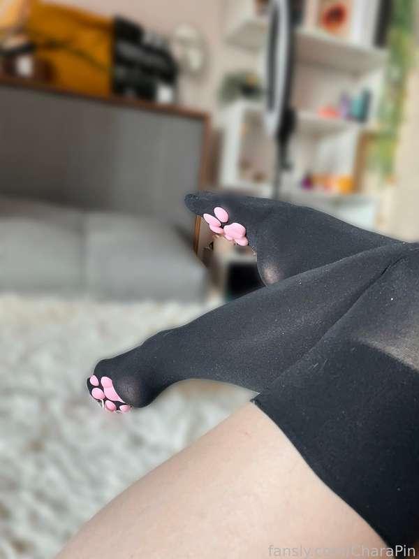 Is it time for DARK side of Chara? 🌝😈

When I wear BLACK I feel absolutely sexy vibe ✨ It's like the color changes your personality - strange….

Btw, have you ever seen naughty KITTY playing with a lil penguin? ૮ • ﻌ - ა

#kitty #clitplay #longsocks #naughty #black #cute #sexting #shortgirl #fyp #thighhighs