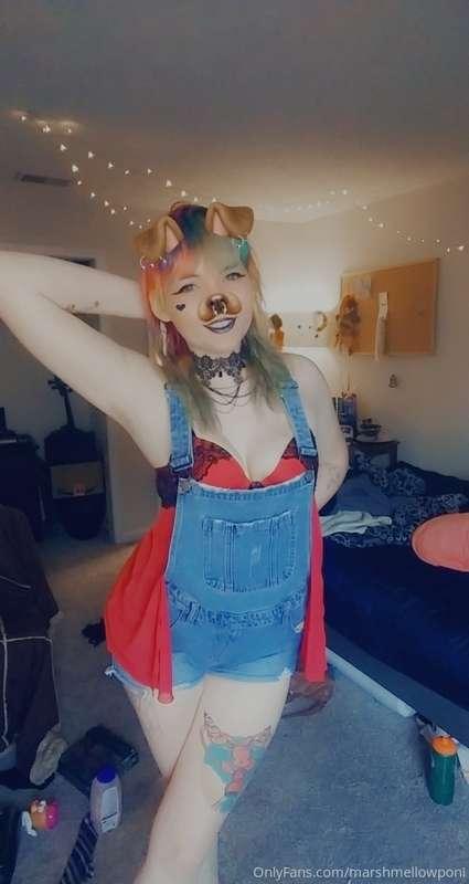 marshmellowponi image #0