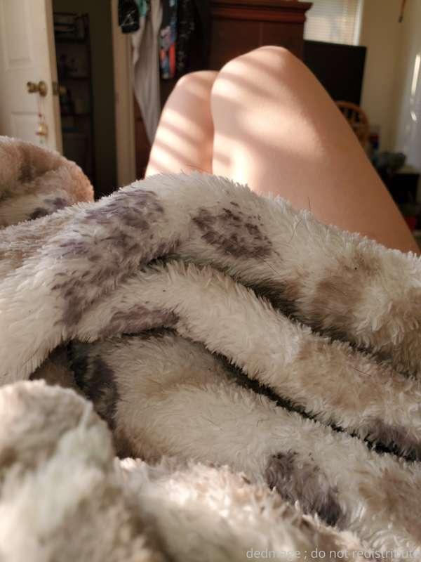 I've been having very early, very sleepy mornings lately.