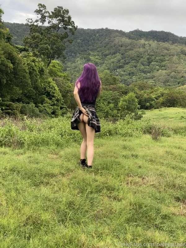 👾 wilderness content 👾