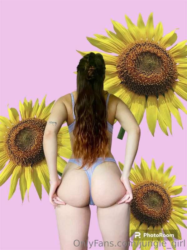 🌸🧚🏽‍♀️