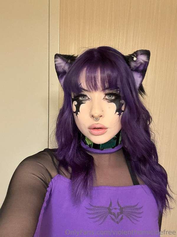 I’ll purr for you, but only if you’re good. 🐾🖤✨