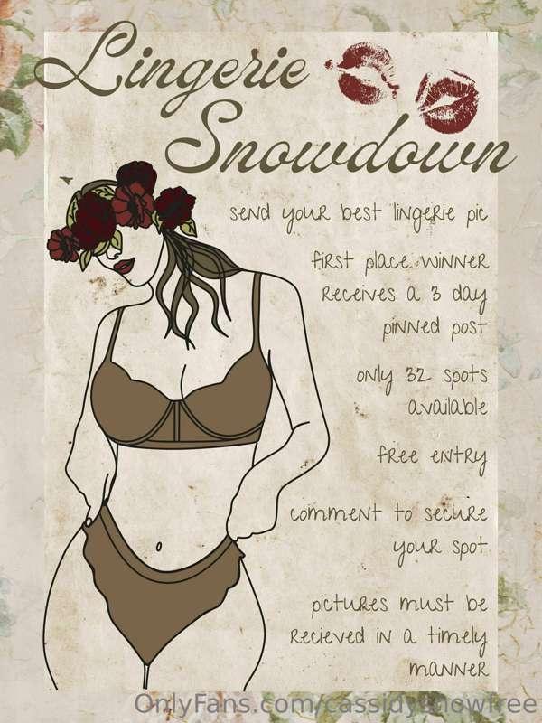 ***LINGERIE SNOWDOWN*** **ENTRIES CLOSED**
send in your best..