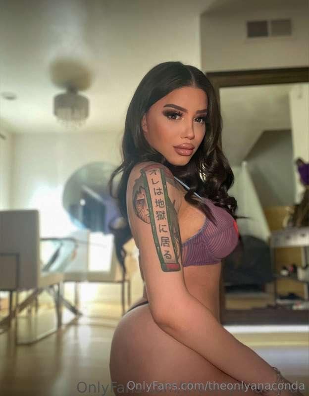 Lights, camera, attention… now stroke while I put on a show ..