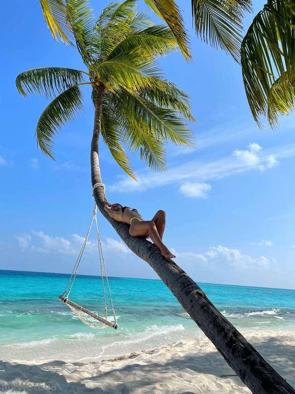 Beautiful palm tree!❤️🥰😇