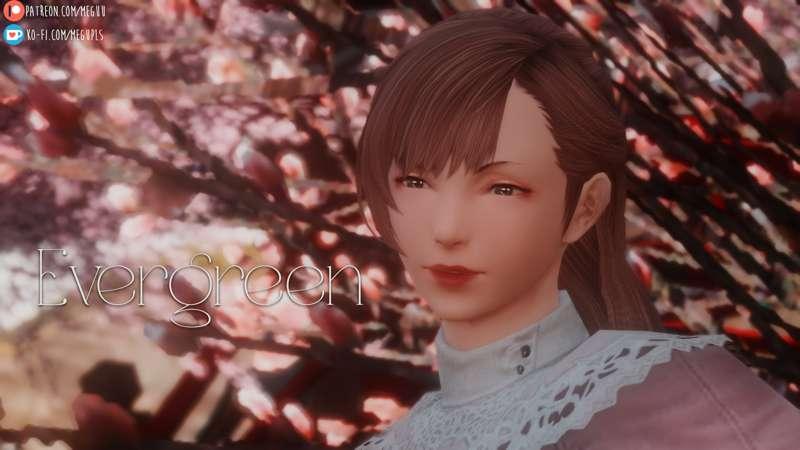 Evergreen - Midlander Face 5