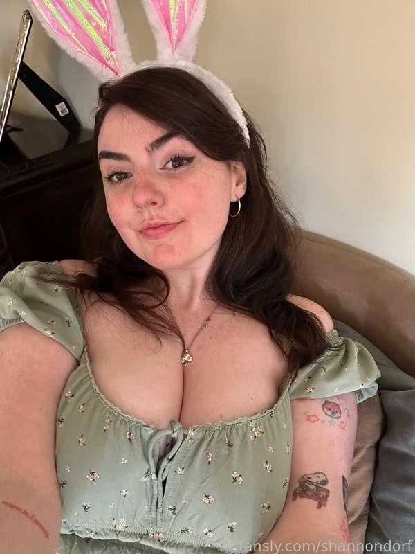 shannondorf image #3