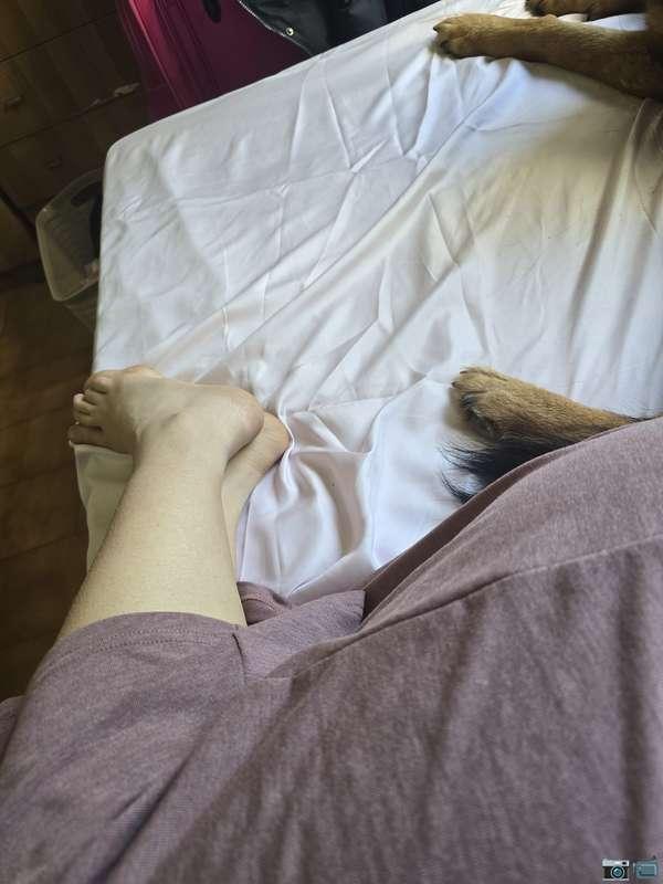 Salve da noi