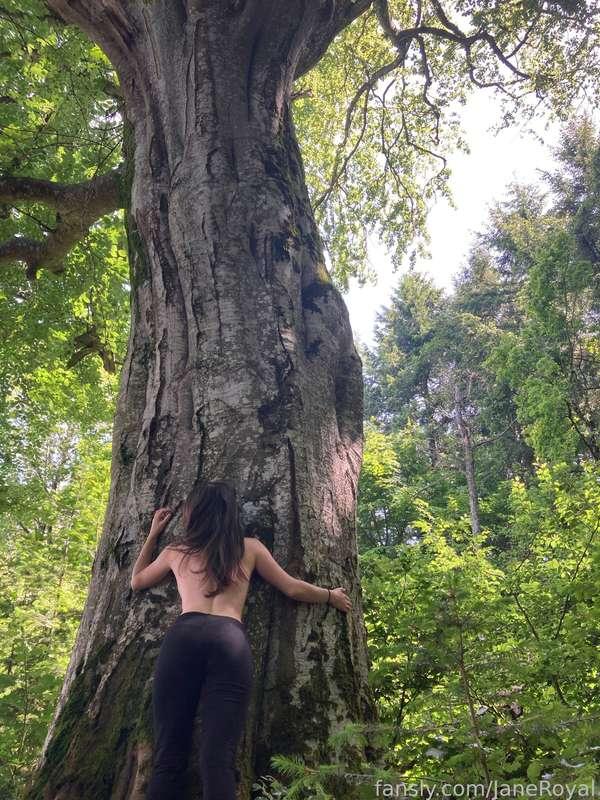 janeroyal image #4