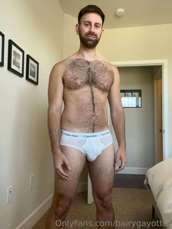 hairygayotter image #3