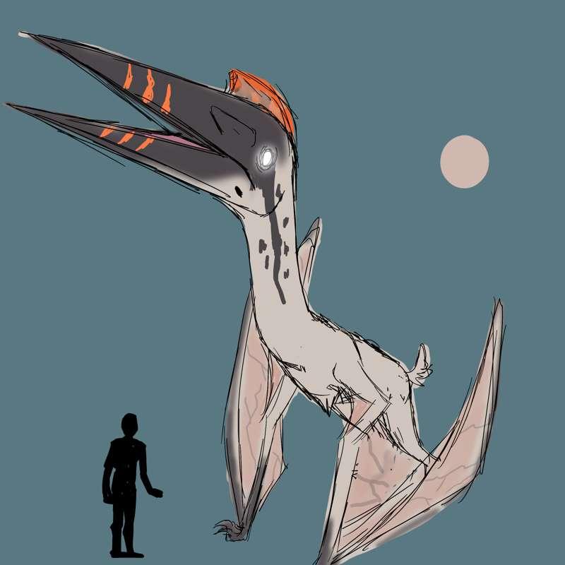 Quetzalcoatlus Sketch 2