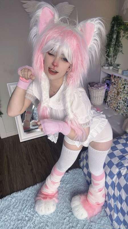 indigowhite image #173