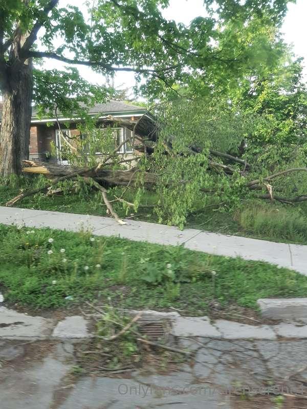 ⛈Got hit by a brutal storm and tornado.🌪
⚡229,000 people wit..