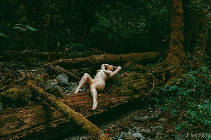 Take me into the woods! 
Photos by Carolyn Jean