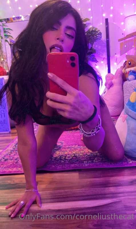 pounce 🐱 🦶