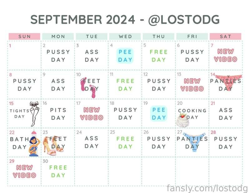 lostodg image #1