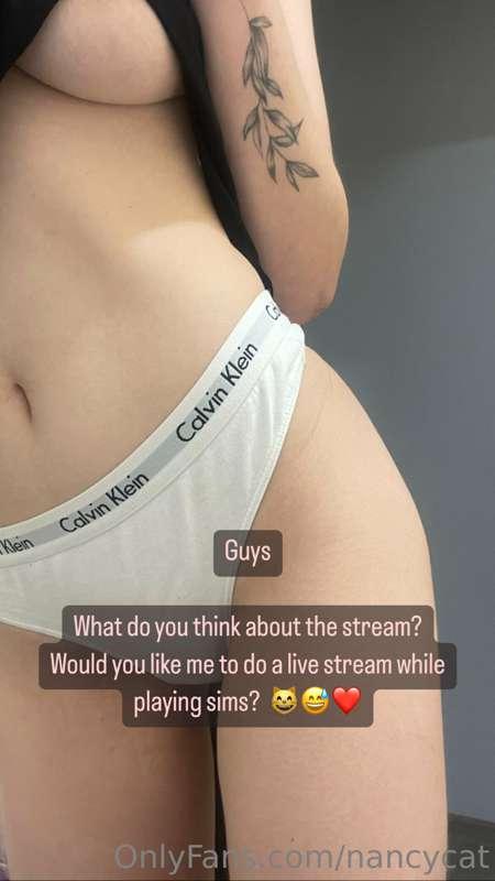 ✨ What do you think about the stream?  Would you like me to ..